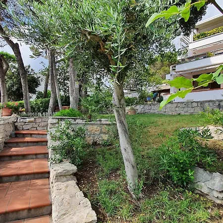 House With Garden