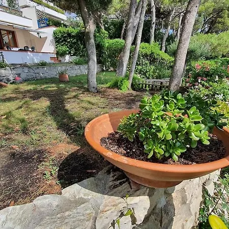 House With Garden * Кверчинелла