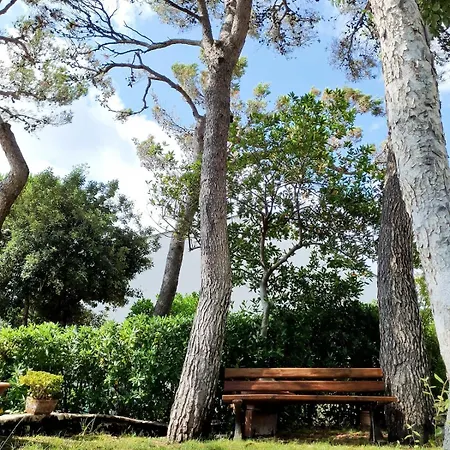 House With Garden Кверчинелла